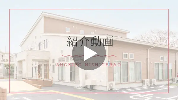 紹介動画