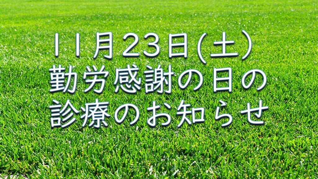 １１月２３日（土）勤労感謝の日の診療のお知らせ