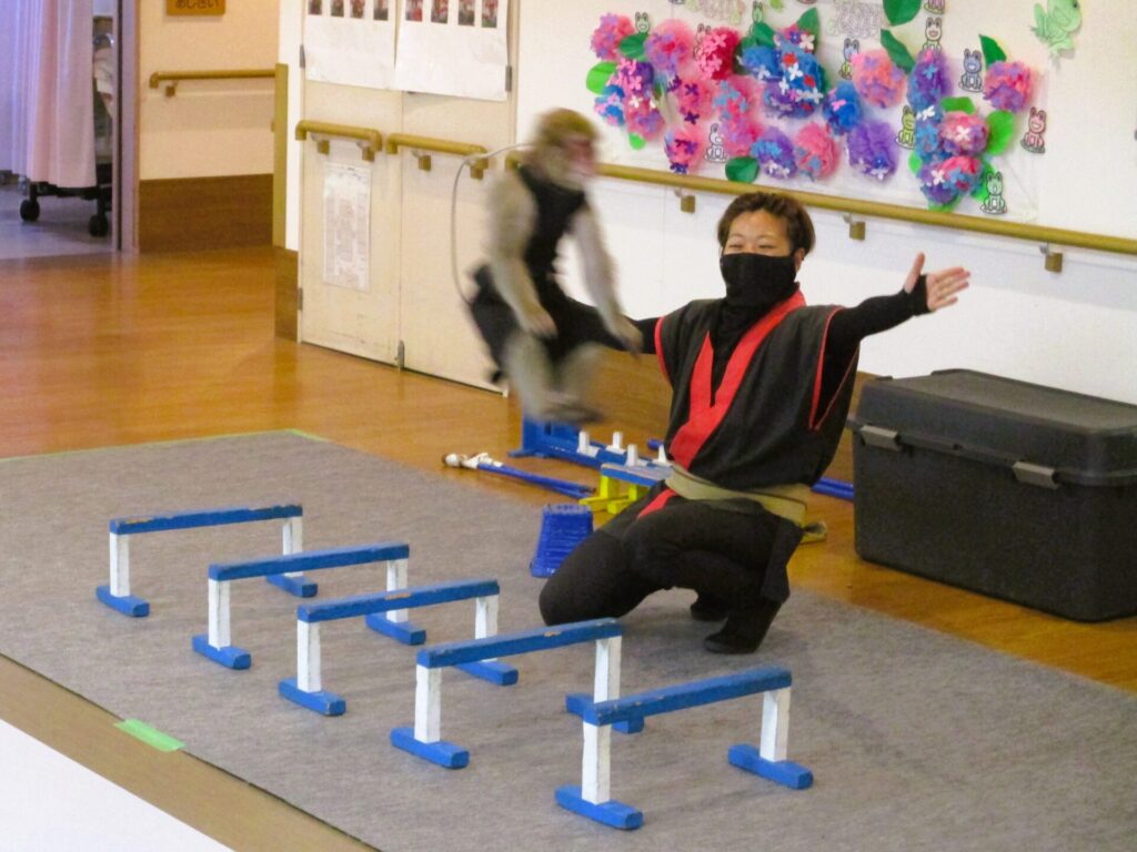 6/25（水）老健たかつに猿まわしの戦豆さんがやって来た！