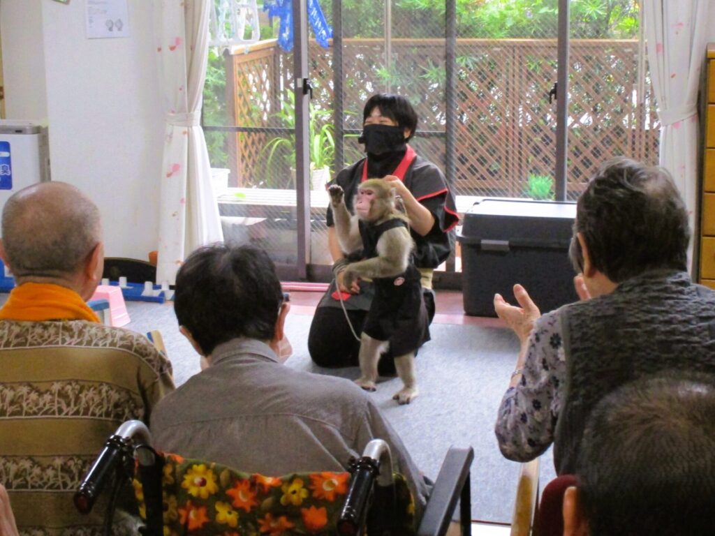 サリューブルたかつに猿まわしの「戦豆」さんがやって来た！