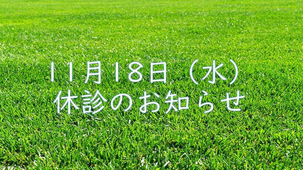 １１月１８日（水）休診のお知らせ