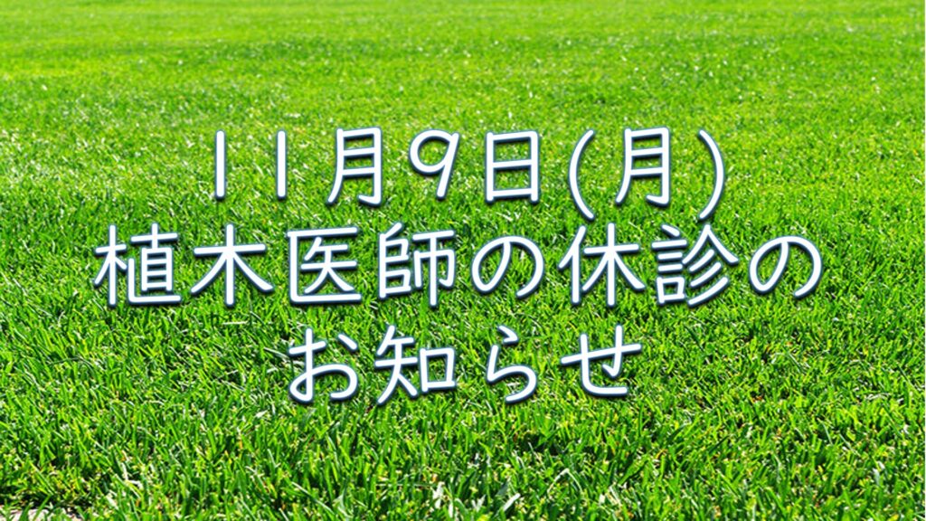 11月9日（月）植木医師休診のお知らせ